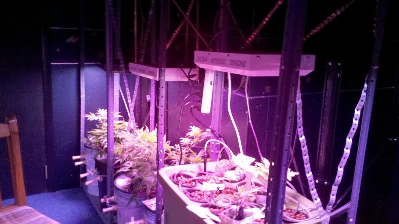 2011-03-08_12-58-43_329.jpg