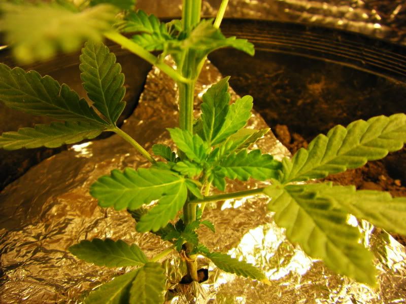mj090005-3.jpg