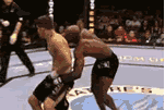 UFC.gif