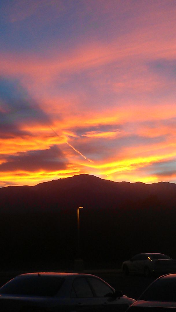 IMAG1736_zpsc5511354.jpg