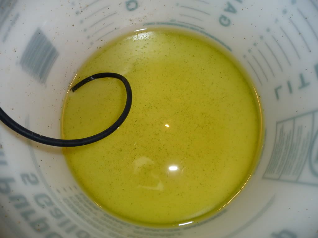 P1000206.jpg