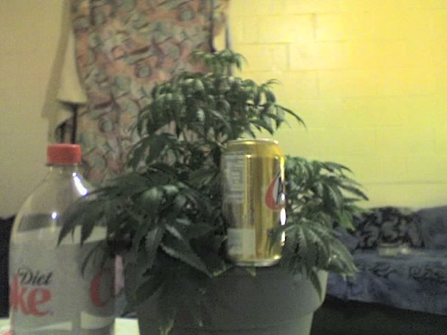 09-26-07_1541.jpg