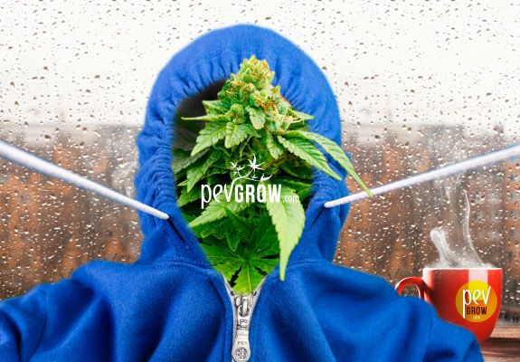 pevgrow.com