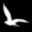 www.fairwinds.store