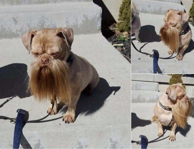 acid_picdump_03.jpg