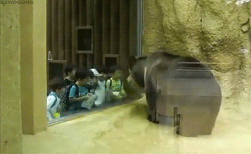 gifs_24.gif