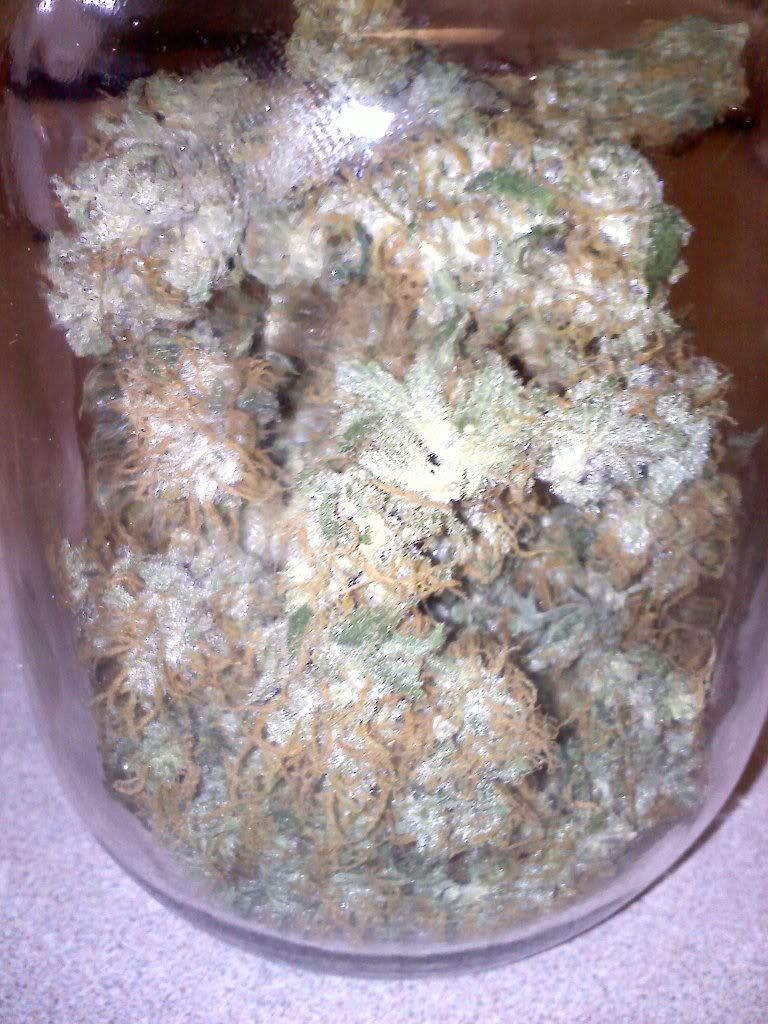 20101004224150.jpg