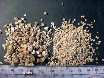 1vermiculite_small.jpg