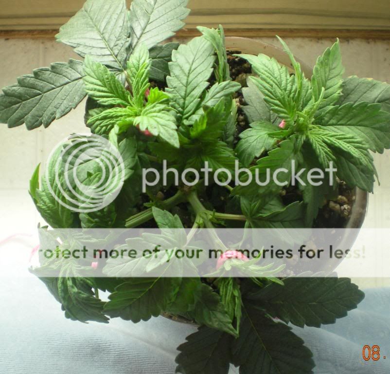DSCN1839.jpg