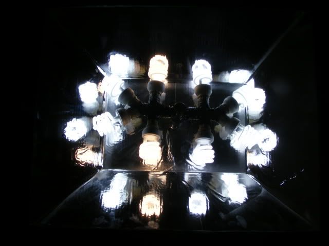 Picture001.jpg