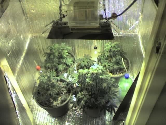 09-26-07_1546.jpg