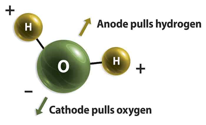 o2grow.com