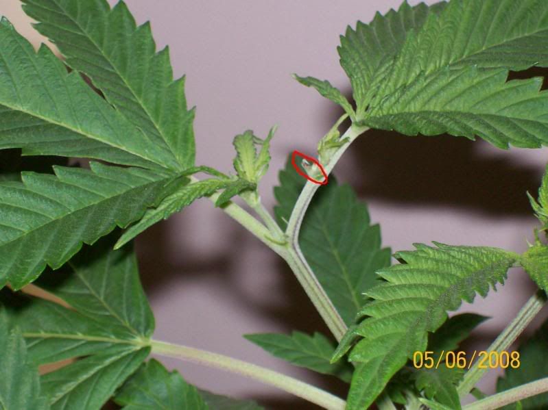 73cd4835.jpg