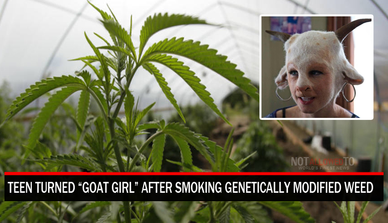 GeneticallyModifiedWeed.jpg