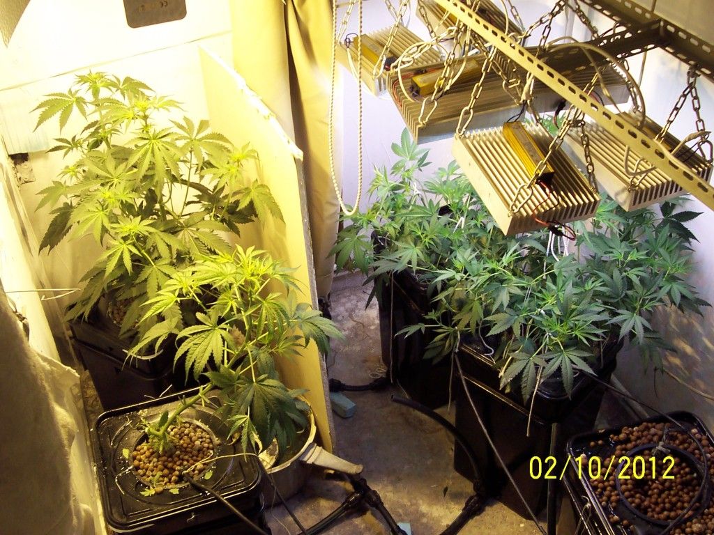 100_2705.jpg