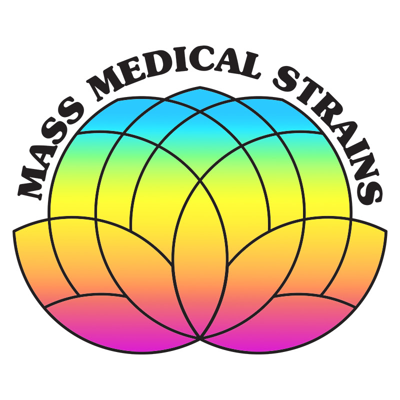 Mass medical logo 1