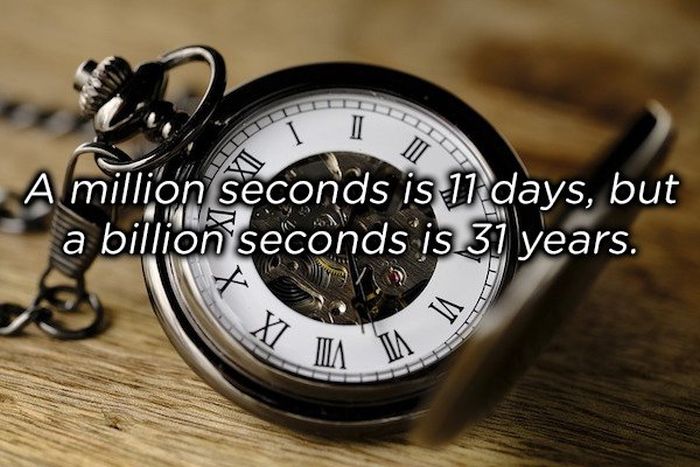 sentence_facts_08.jpg