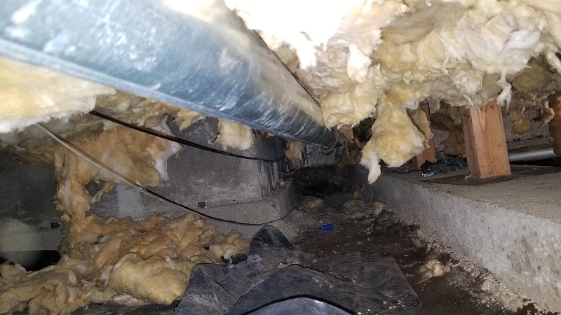 crawlspace4.jpg