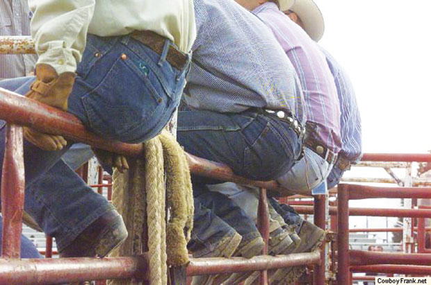 cowboy_butts.jpg