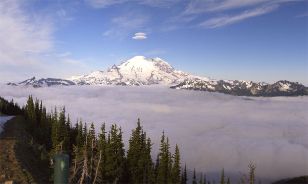 mynorthwest.com