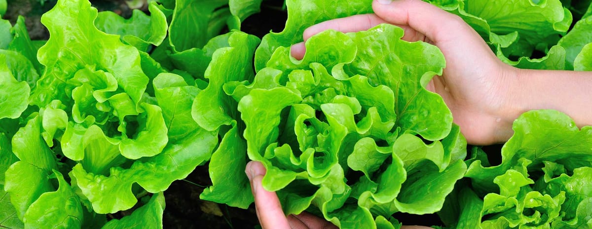 blog.nutri-tech.com.au