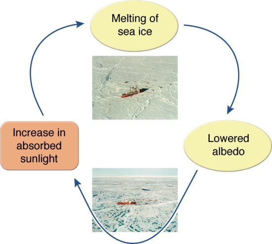 ice-albedo-feedback-process.jpg