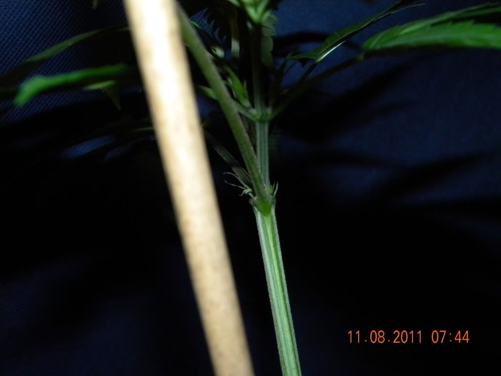 DSCN3013.jpg