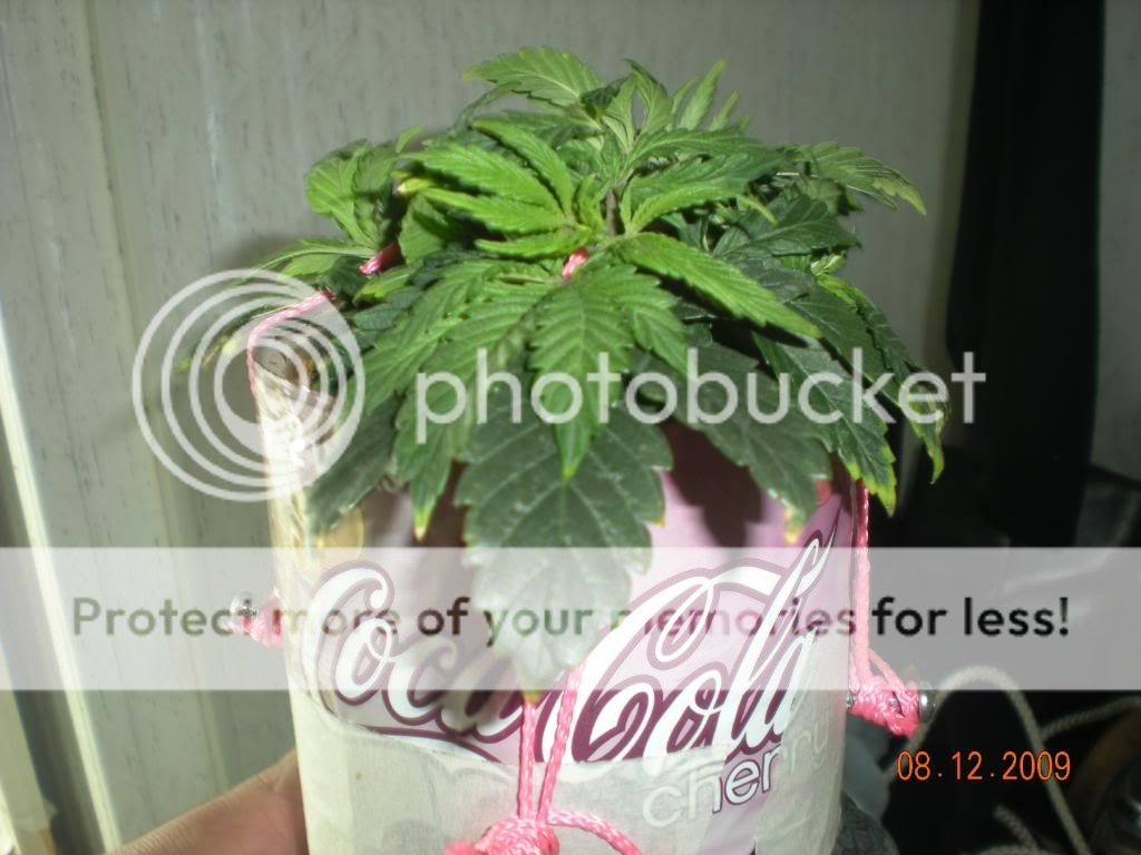 DSCN1842.jpg