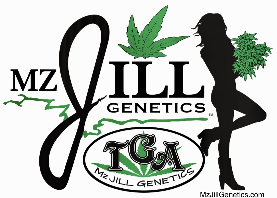 mzjill.com