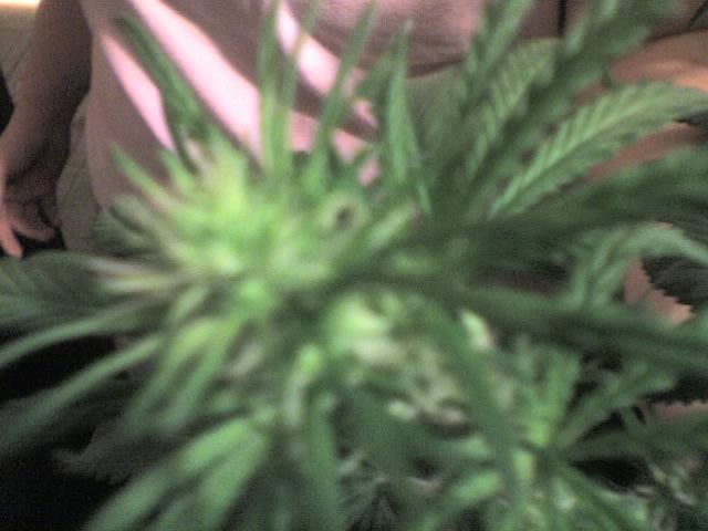 10-25-07_2015.jpg