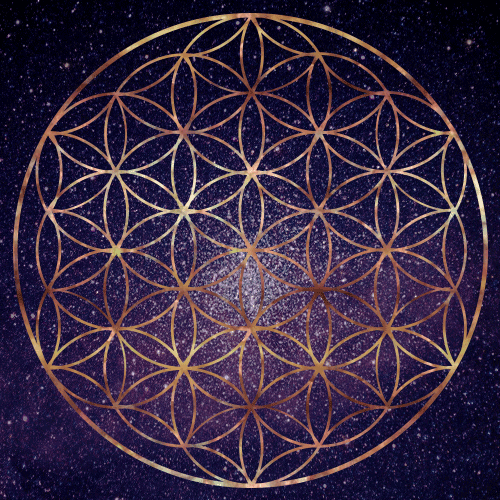 tumblr_nkr2yitwNd1tdl3e7o1_500.gif