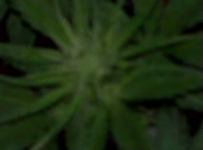 IMG00032.jpg