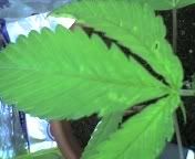 10-22-07_2135.jpg