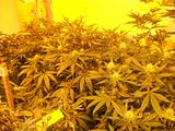 th_100_1668.jpg