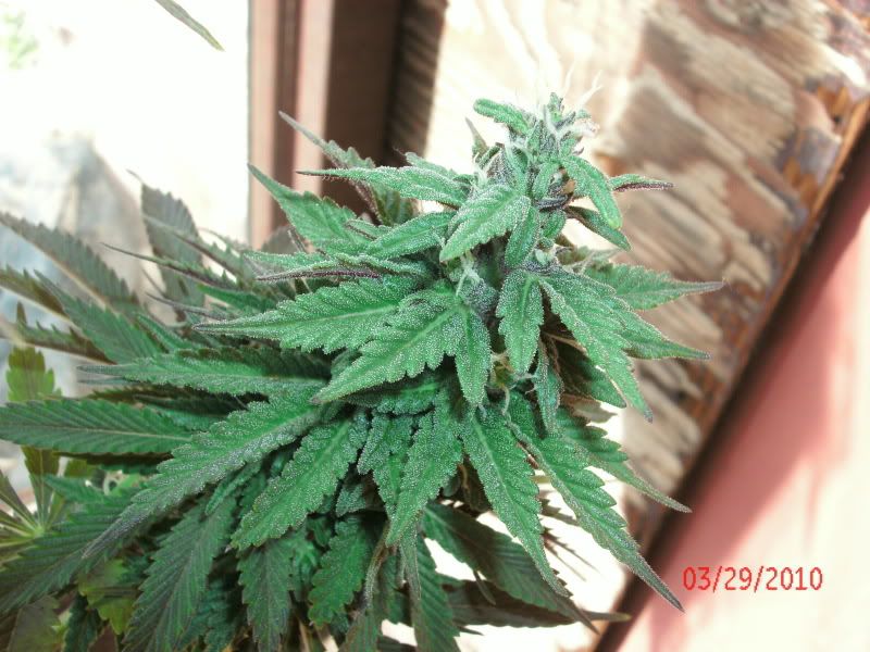 GEDC0573.jpg