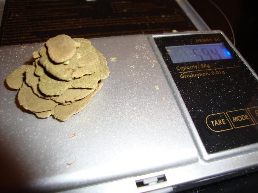 bub3001.jpg