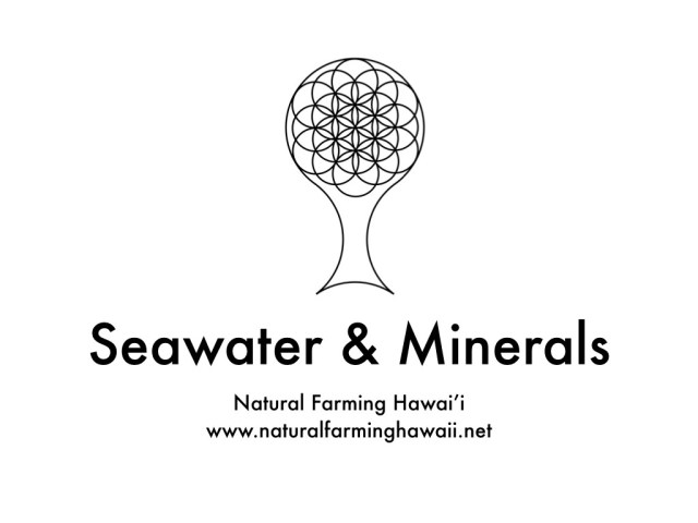 seawater and minerals.001