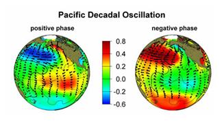 PDO-circulation-patterns.jpg