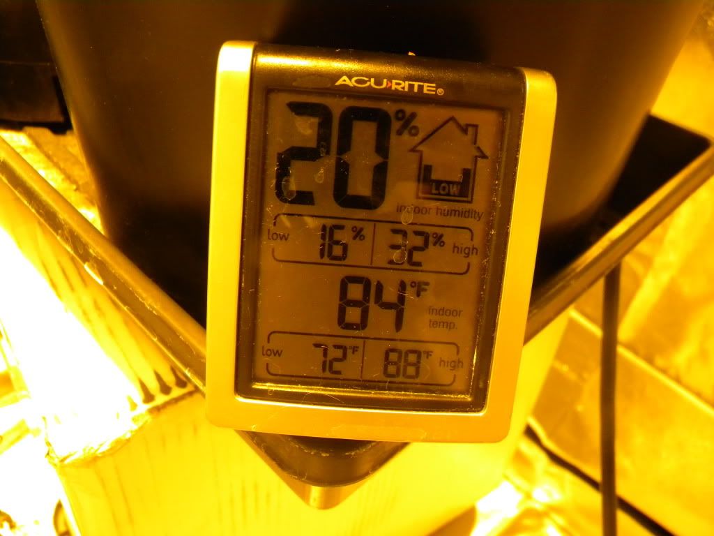 DSCN0892.jpg