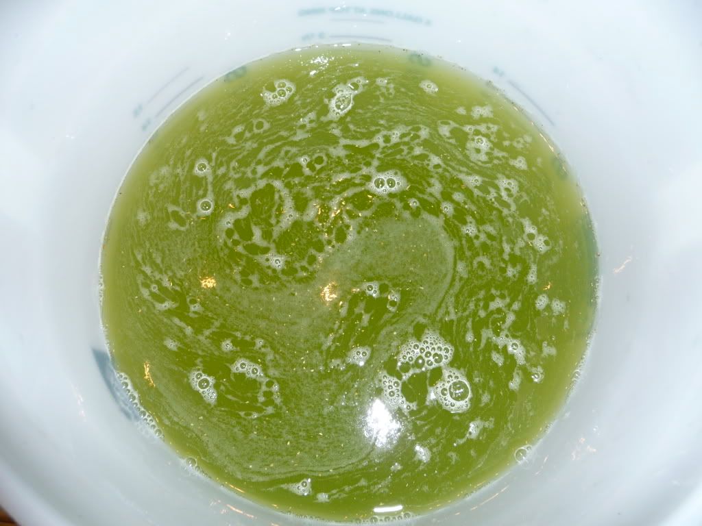 P1000203.jpg