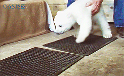 GHH5IAx.gif