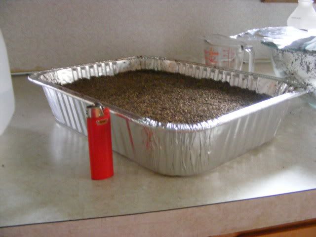 Picture021.jpg