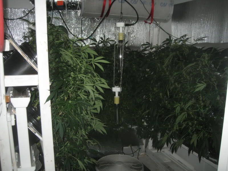 TRIMMED001.jpg