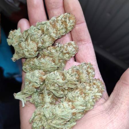 growdiaries.com