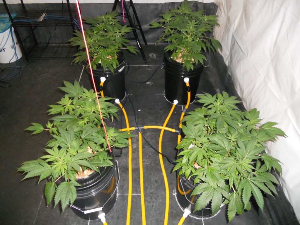 G13_Day02f.jpg
