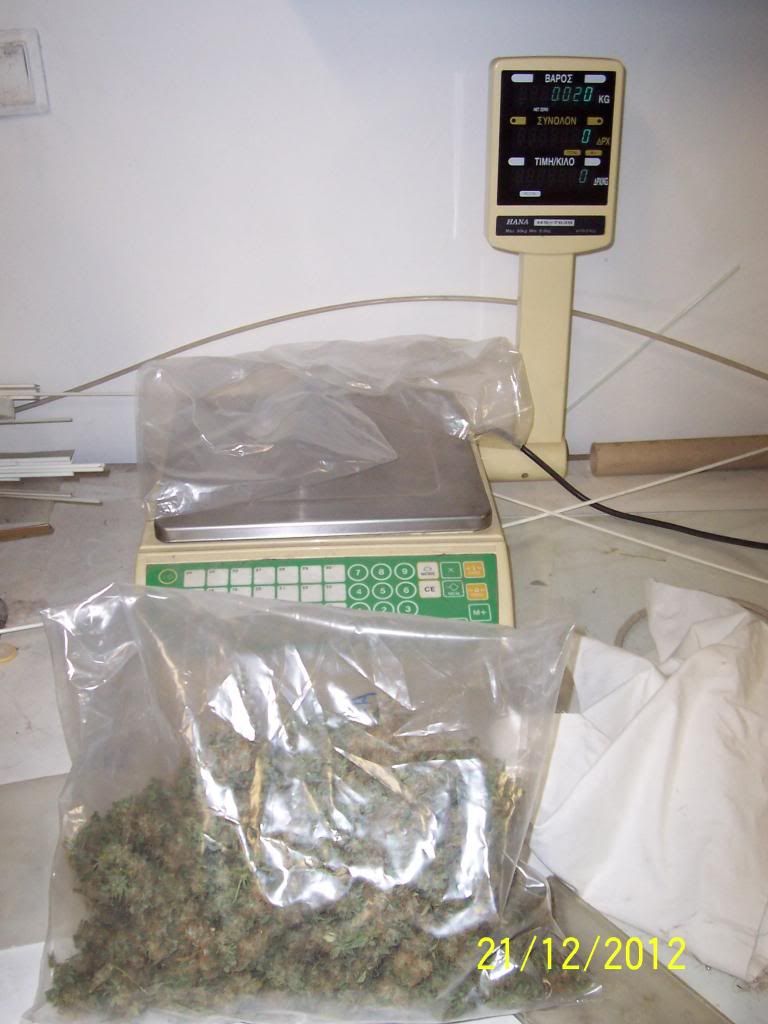 100_3052_zps738de165.jpg