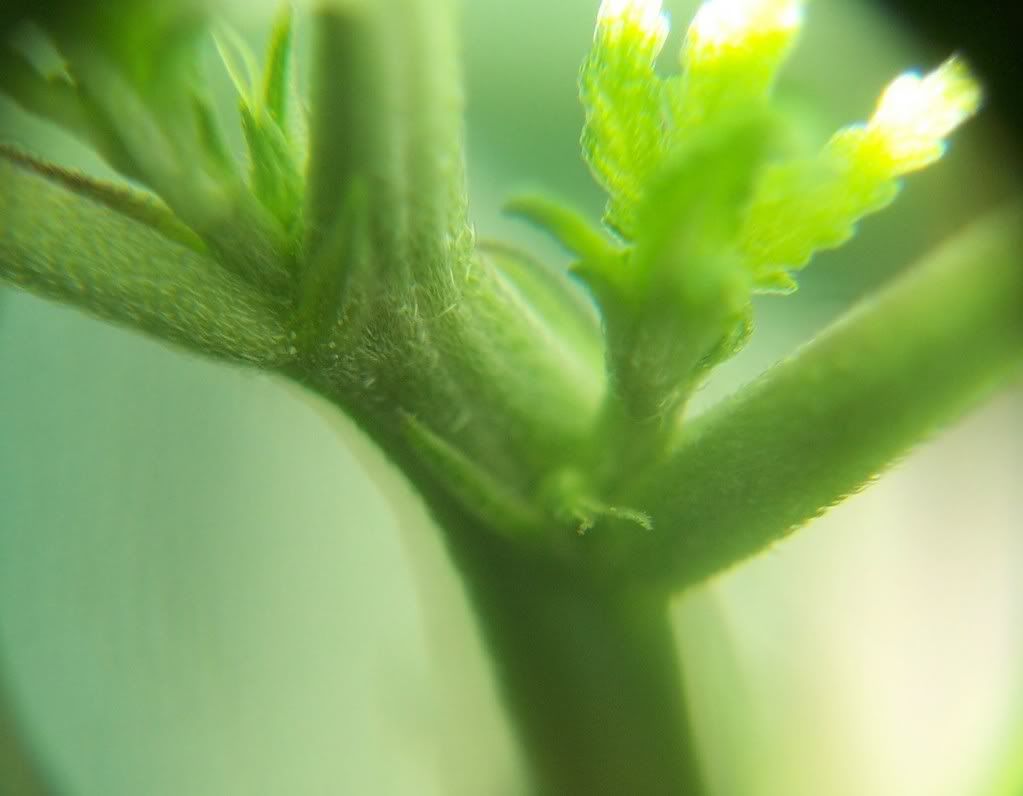 000_0878.jpg