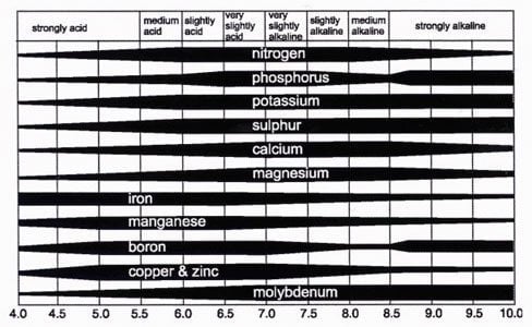 ph-nutrient-availability.jpg