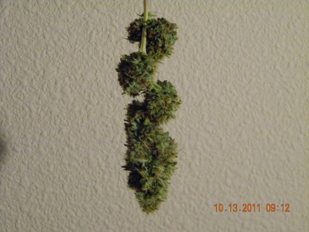 DSCN2861.jpg