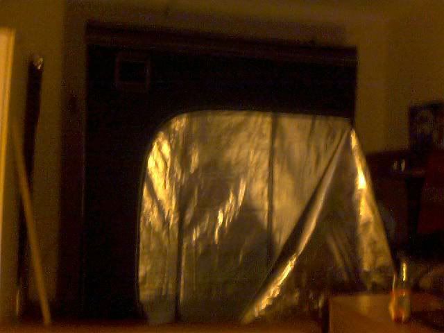 2011-11-3009-35-22183.jpg